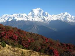 Nepal Mountains